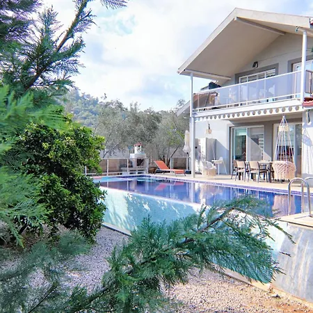 Vila Karagedik Private With Pool