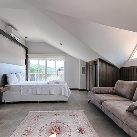 Karagedik Private With Pool Vila